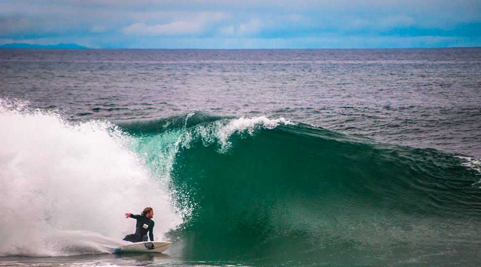 Pipsqueak | shark repellent zebra stripes