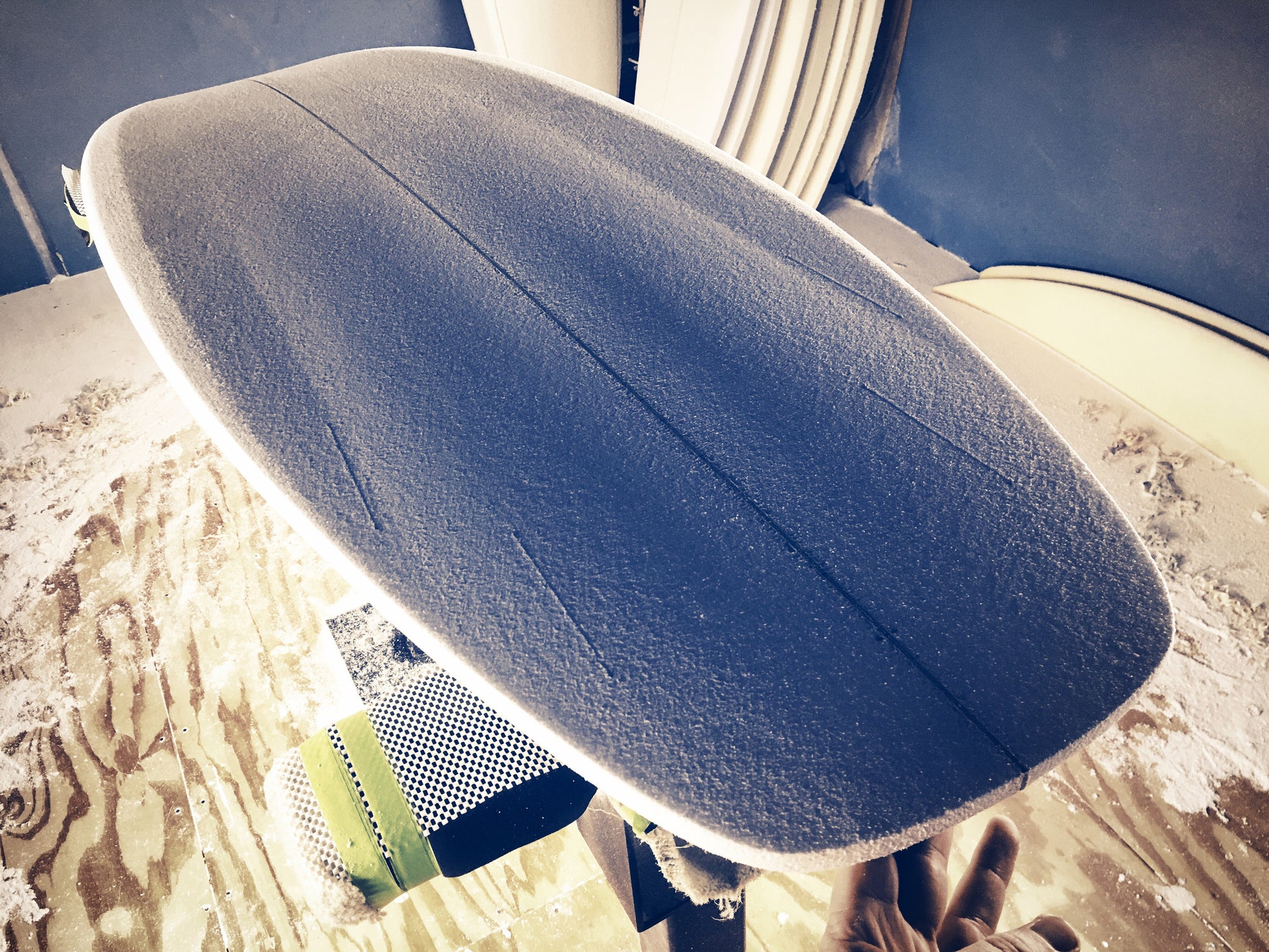 Hideoscillous |  carbon reinforced blues tail tint