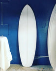 Hideoscillous |  carbon reinforced blues tail tint