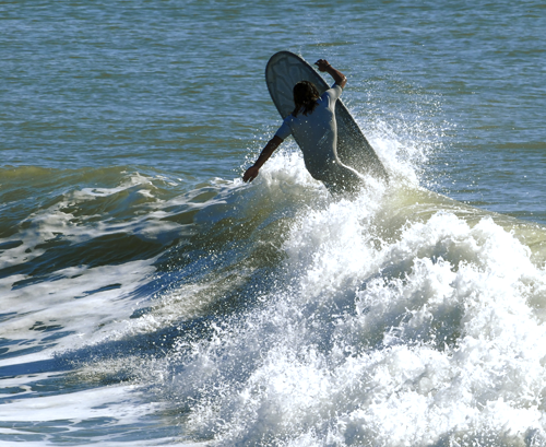 Stock Quick Mini Longboard / Manatee II | blues tri tail dip