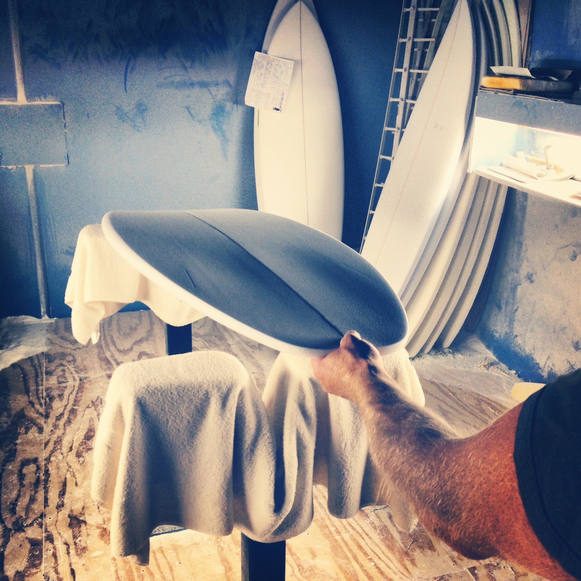 Monstavarotti 5'8" swallowtail | READY TO SHIP