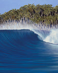 Nias Painting