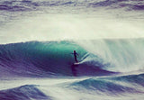 Stock Quick Bullet Single Fin | Magenta Purple resin tint