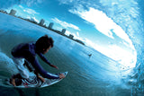 Flyin Lion step-up | Racy Black Rails with Baltic Blue Resin Tints