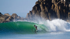 Stock Quick Greased Pig | carbon reinforced swallow