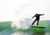 MonstaChief 7'6" | READY TO SHIP