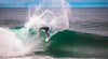Stock Quick Pipsqueak | shark repellent zebra stripes