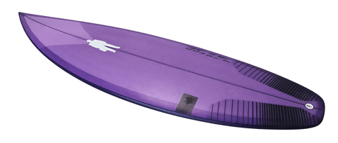 Flyin' Lion | purple tint