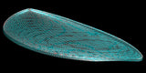 Stock Quick Hideoscillous |  carbon reinforced blues tail tint