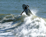 Mini Longboard / Manatee II | blues tri tail dip