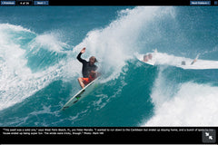 Stock Quick Greased Pig | carbon reinforced